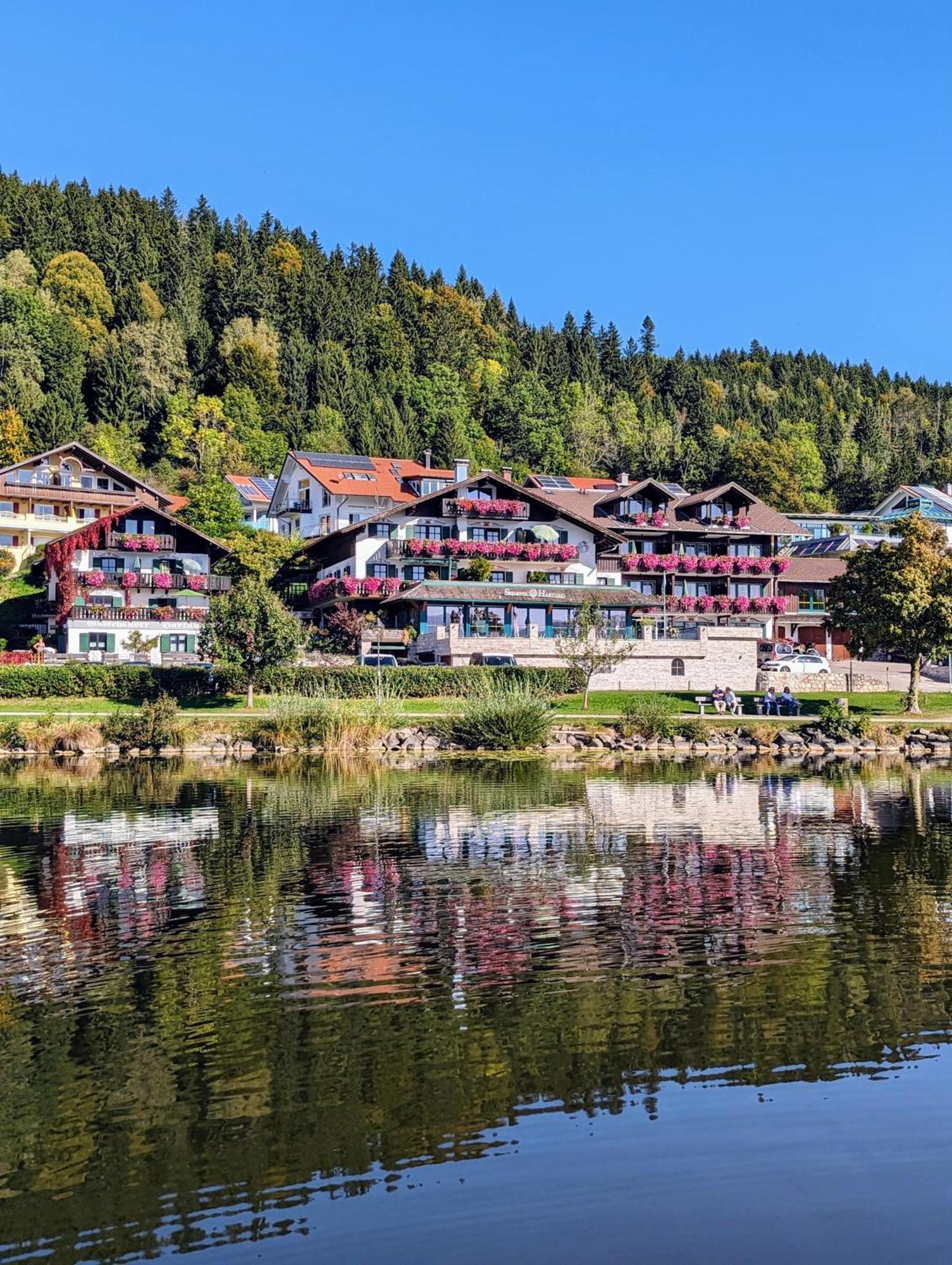 فندق سيهوتل هارتونغ&فيرينابارتيمنتس Füssen المظهر الخارجي الصورة
